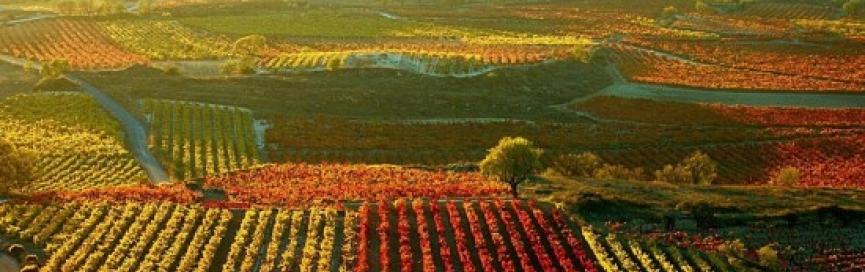 Mejores planes de turismo familiar e infantil en La Rioja